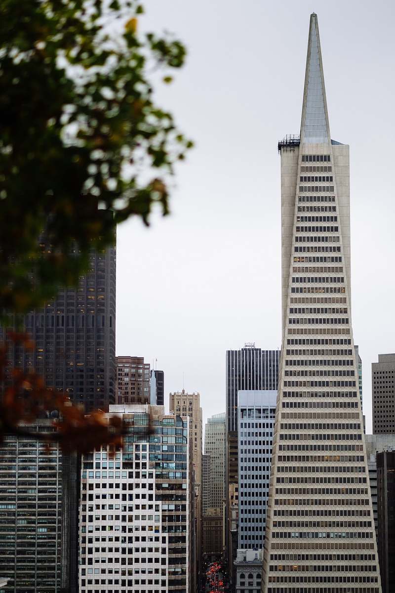 office building highrise buildings during daytime city